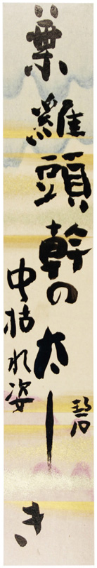 短冊 河東碧梧桐 [202406-S1013] : 群馬の古典籍・古書の福地書店 ネットショッピング