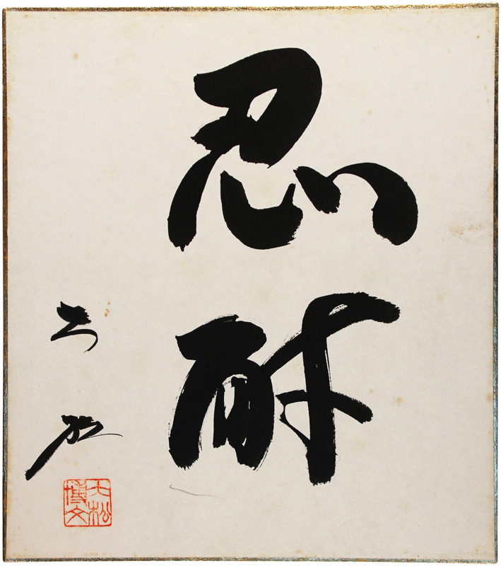 桡羾ʸ