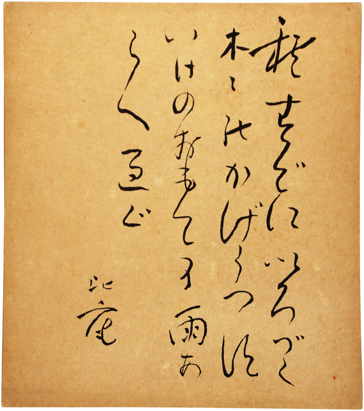 桡
