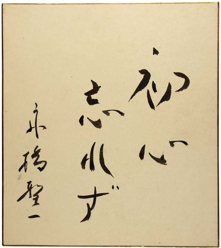 桡