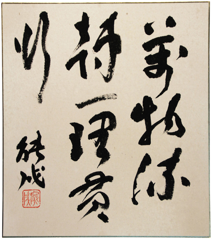 桡ǽ
