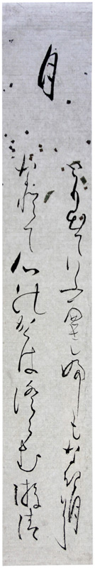 ûܴ