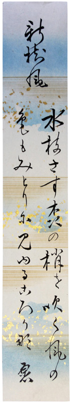 û޿