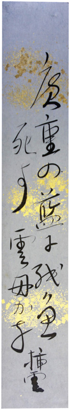 ûޱ
