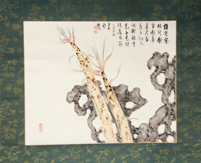 ݼ軿