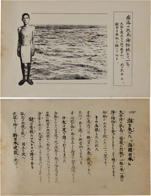 �ƹ�ӥ����ñ�ˡ����ɻ���