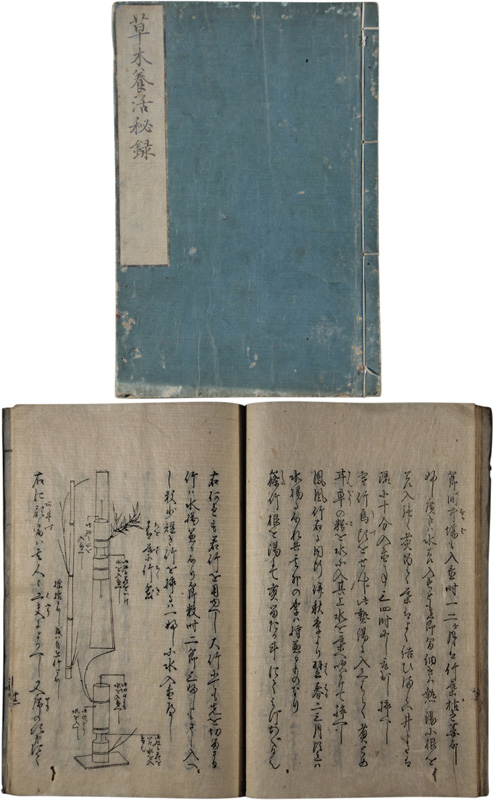 �����ܳ���Ͽ