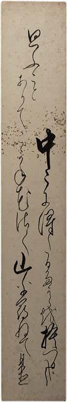 û������������Ƿ��