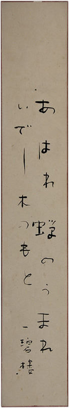 û�������Ͱ��˺�