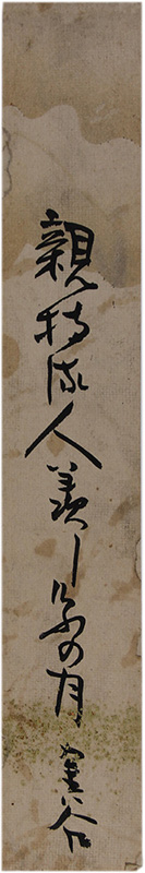 û���������ë