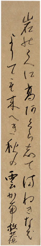 û�����������