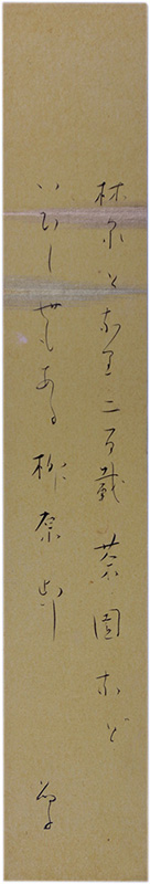 û����Ϳ�����