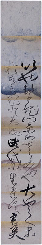 û�����������