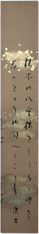 û��������ϲ��