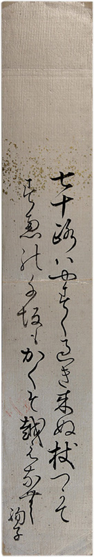 û����ê������