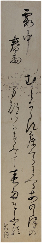 û���������翮��