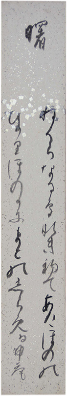 û�������䵢��