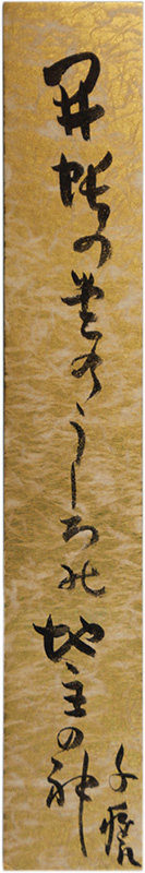 û�����������