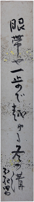 û���������Ի���