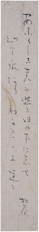 û������������