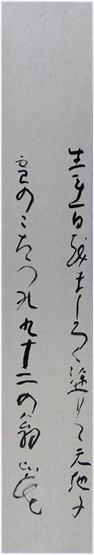 û�����������