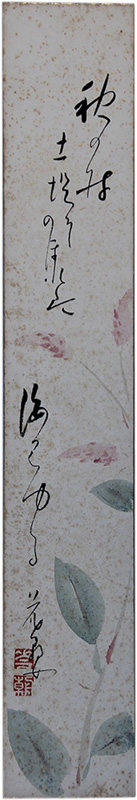 û�������Ĳ�ī��