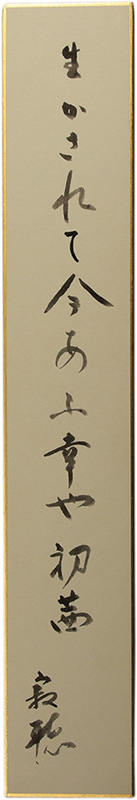 û�����������İ