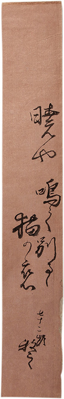 û����������Ƿ