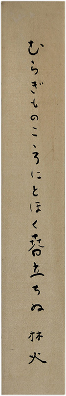 û���������Ӳ�