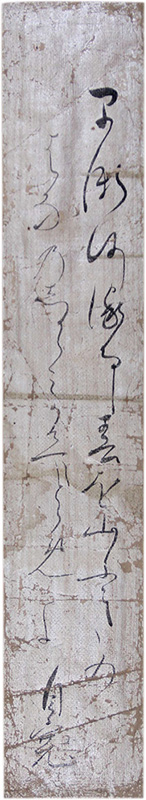 û�������缫��