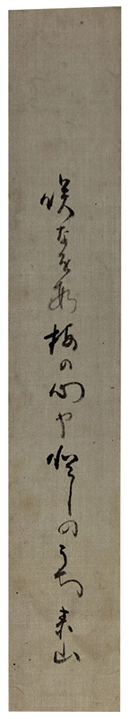 û���������軳