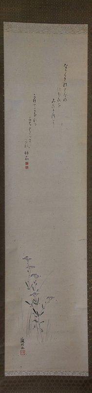 �ݼ������籩��